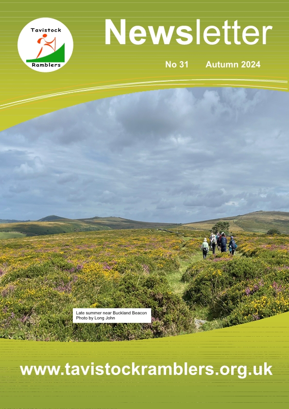 Autumn 2024 Newsletter